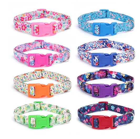 Chenpet Wholesaler Pet Collars Sets Dog Leashes