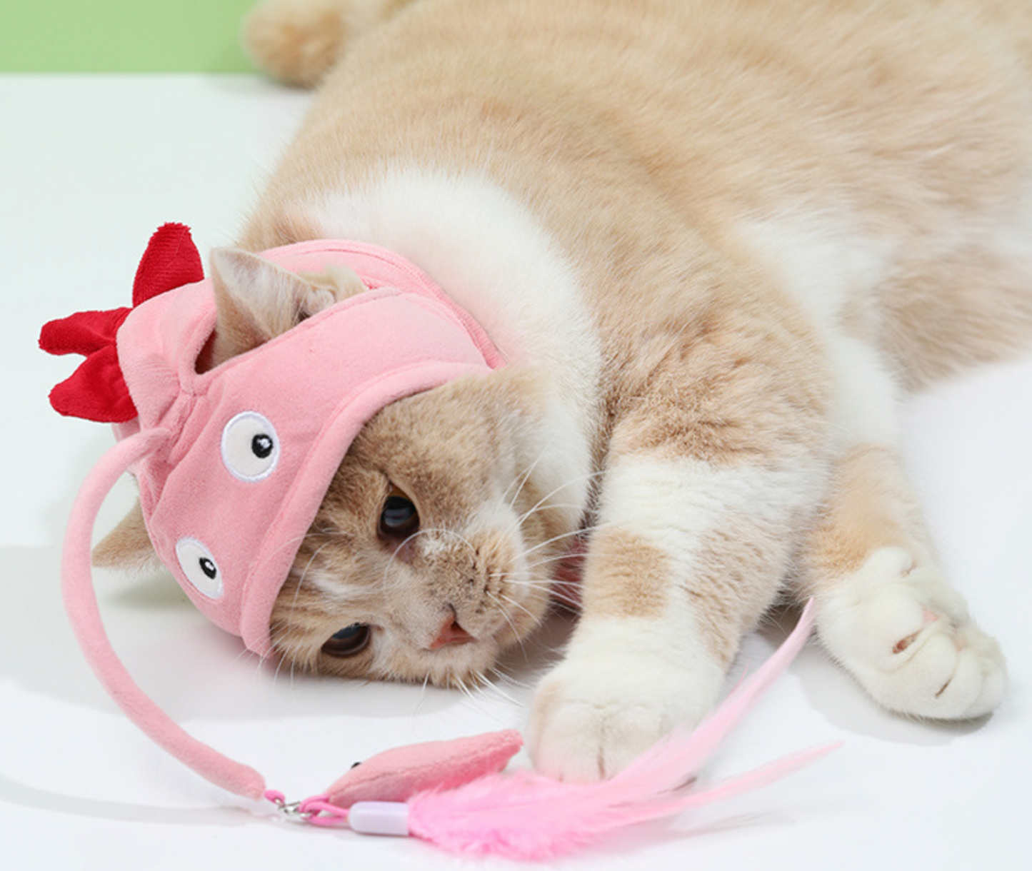 Chenpet Manufacturer Cat Playing Hats Pet Hats