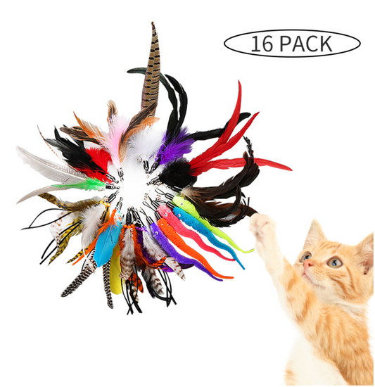 Chenpet Wholesale Feather Style Cat Toys Cat Play