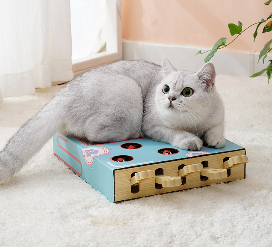 Chenpet Hot Selling Cat Scratching Board Cat Play Toys