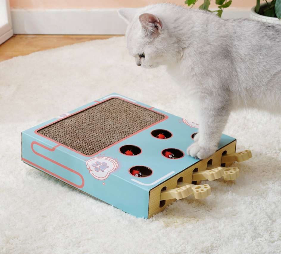 Chenpet Hot Selling Cat Scratching Board Cat Play Toys