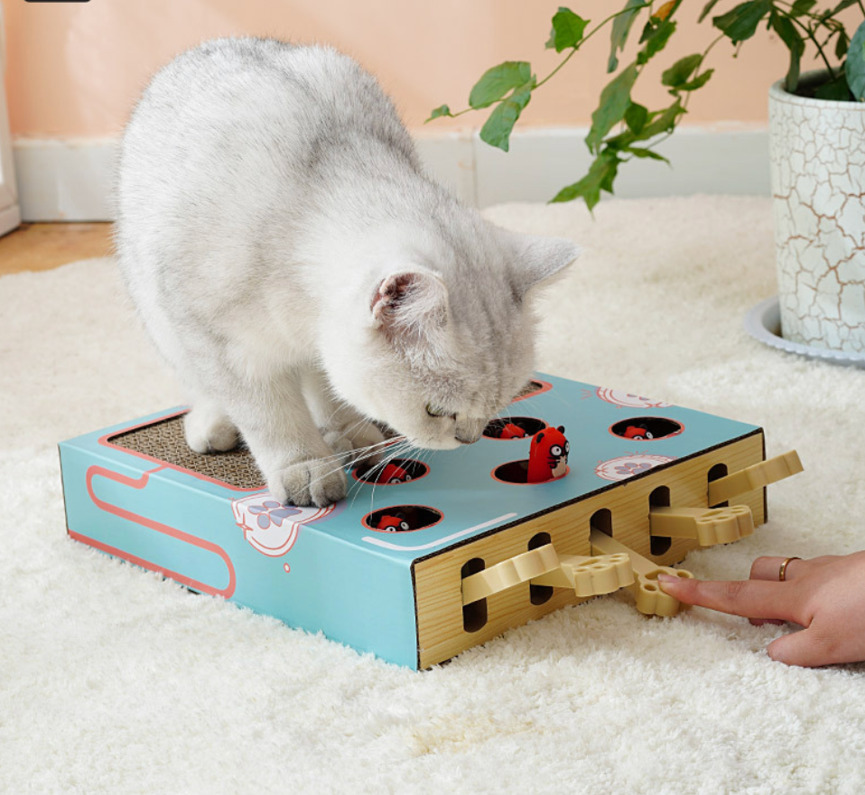 Chenpet Hot Selling Cat Scratching Board Cat Play Toys