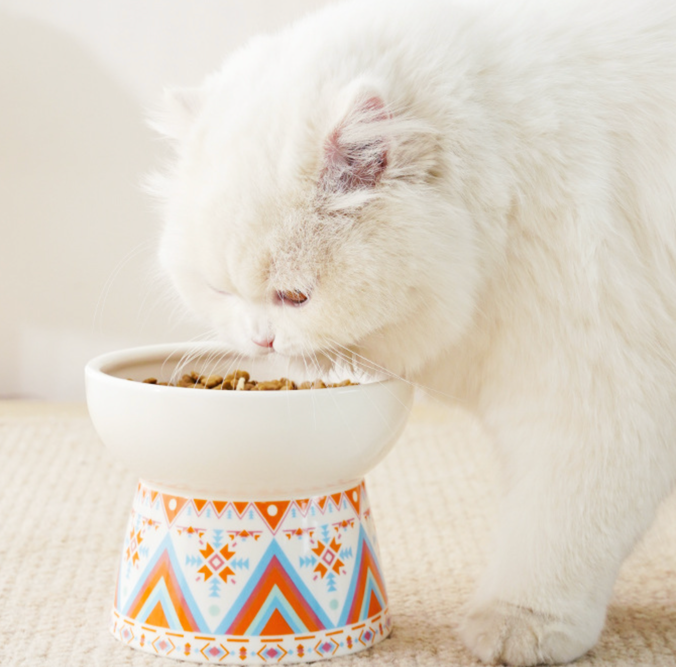 Chenpet Ceramic High Quality Boho Patterns Cat Bowls