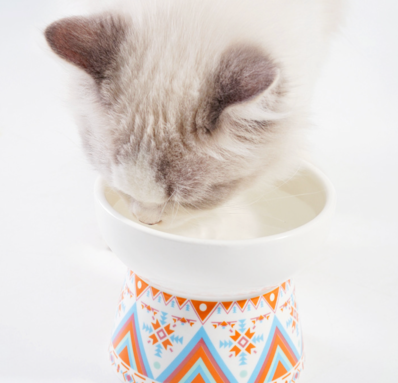 Chenpet Ceramic High Quality Boho Patterns Cat Bowls