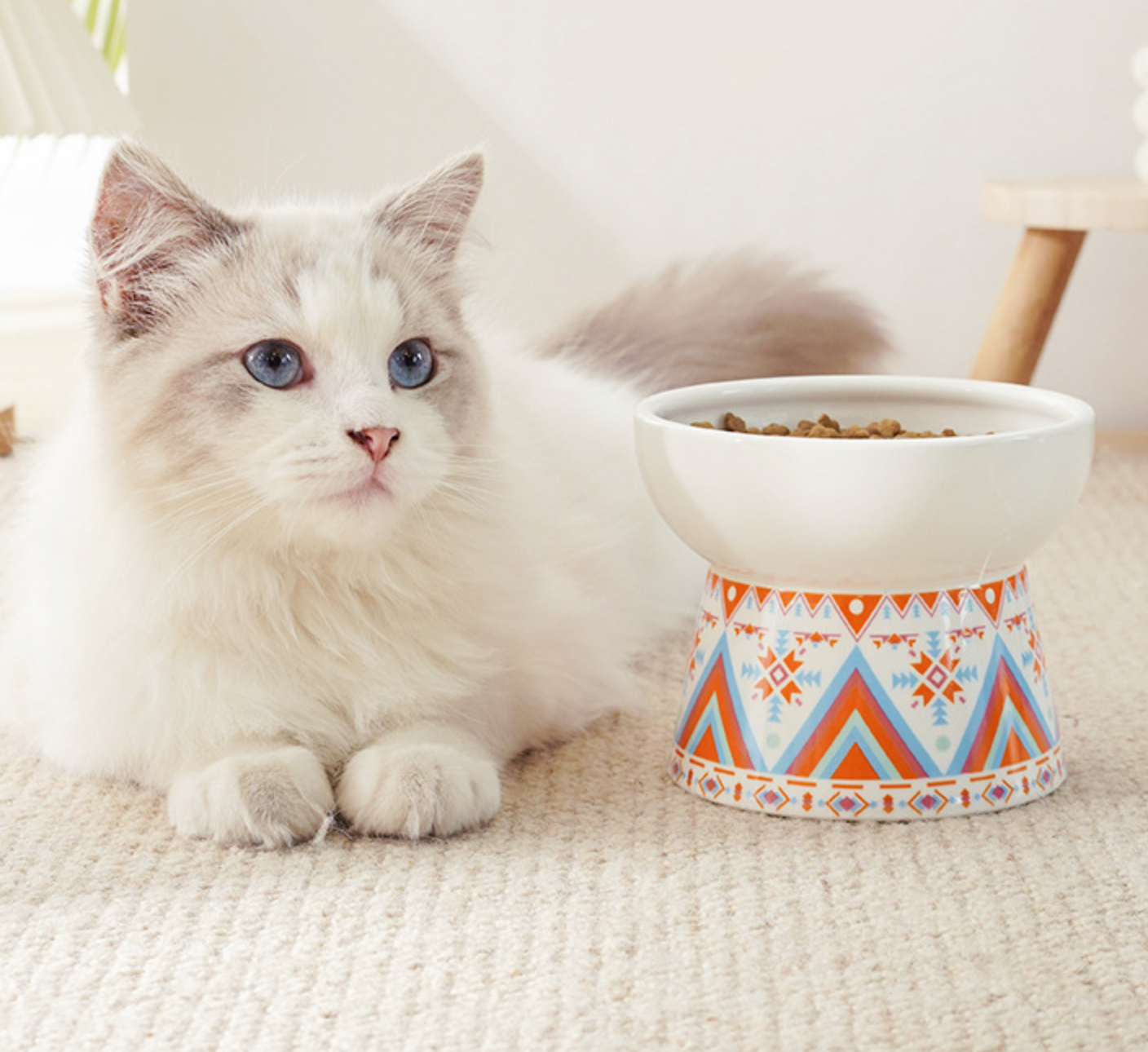 Chenpet Ceramic High Quality Boho Patterns Cat Bowls