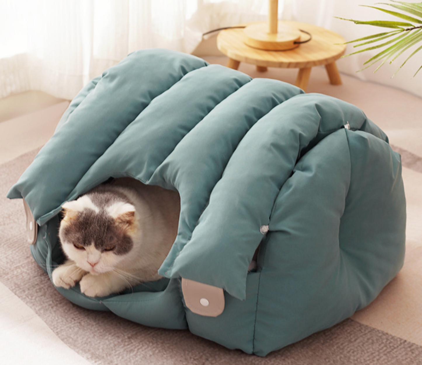 Chenpet Custom High Qulaity Pet Sofa Cat Beds Dog Beds