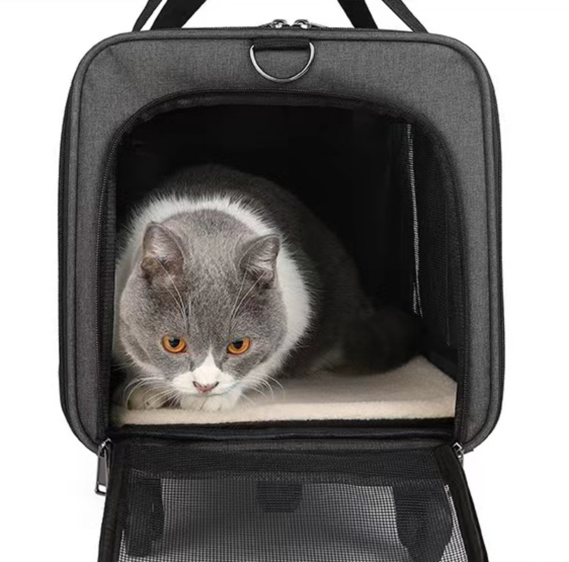 Chenpet High Quality Outside Pet Carrier Oxford Pusher Bags