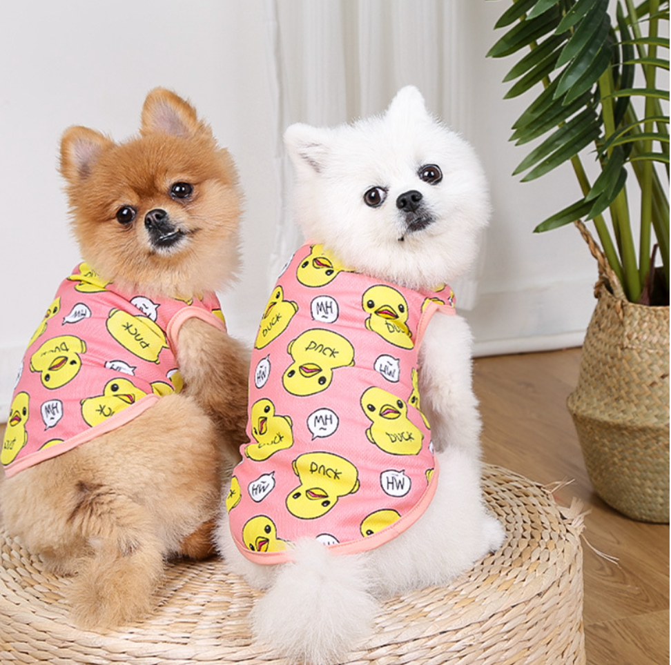 Chenpet High Quality Cotton Spring & Summer Pet Clothes Dog Apparels