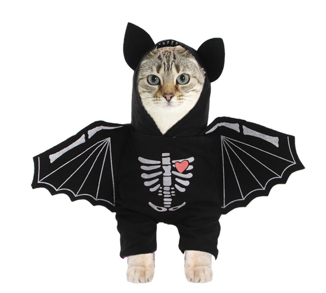 Chenpet Custom Halloween Pet Apparels Cat Toys Dog Festival Clothes