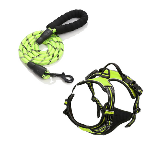 Chenpet Wholesale Custom Pet Harness Sets Dog Accessories