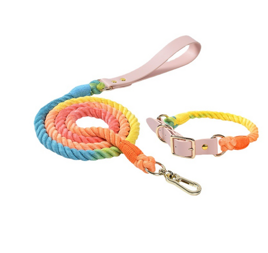 Chenpet Hot Selling Custom Macaron Series Pet Collars Dog Leashes