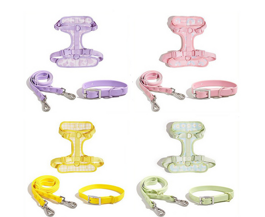 Chenpet New Design Of PVC Pet Collars Dog Harness Sets