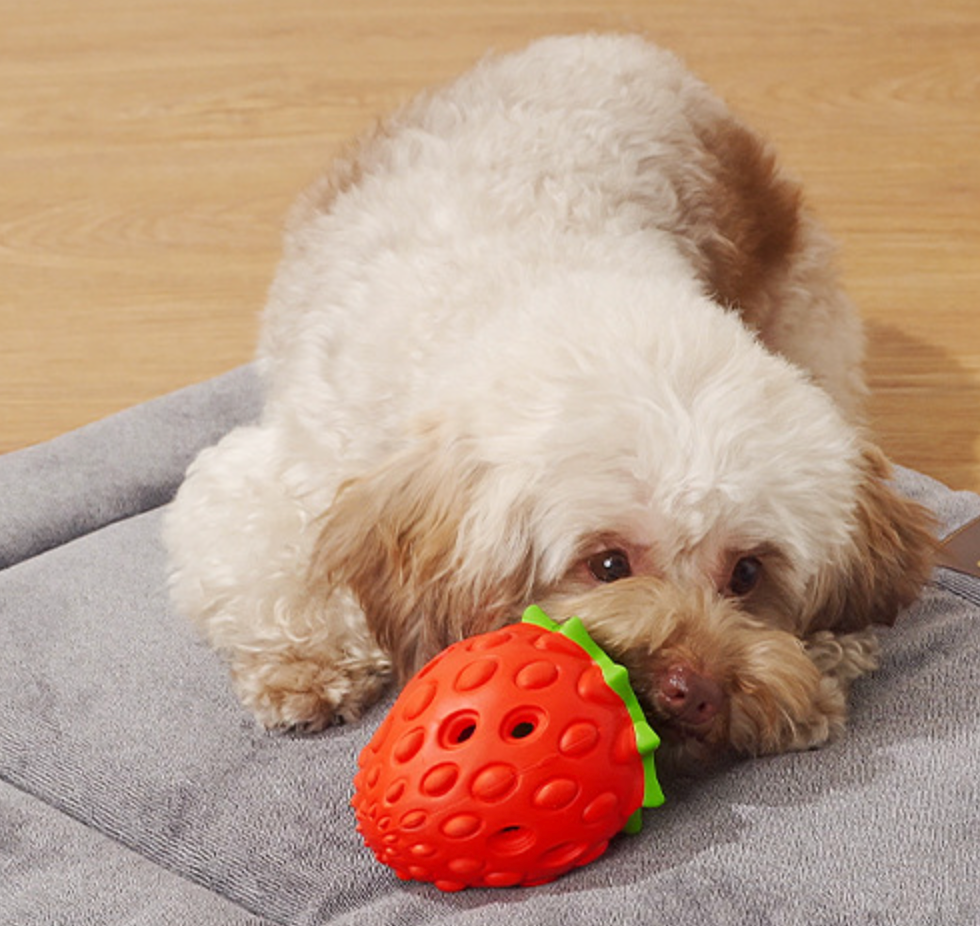 Chenpet Manufacturer Strawberries Style Pet Rubber Toys