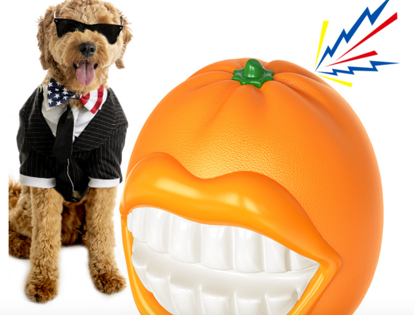 Chenpet Pumkin Style Pet Toys Plastic Dog Toys