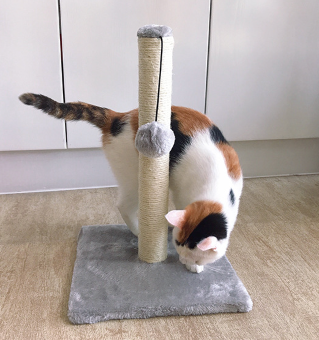 Chenpet Wholesale Plush Basic Cat Trees