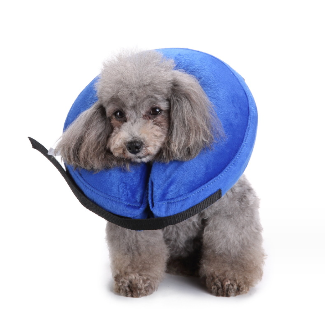 Chenpet Hot Selling Pet Inflatable Collar Pet Grooming Protective Collar