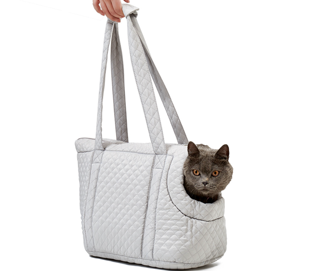 Chenpet Custom Pet Carrier Outside Cat Bag