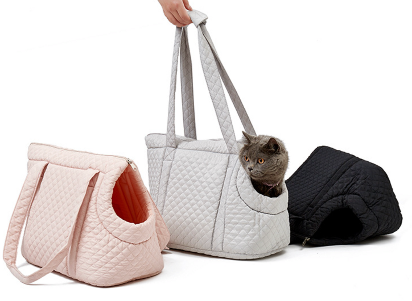 Chenpet Custom Pet Carrier Outside Cat Bag