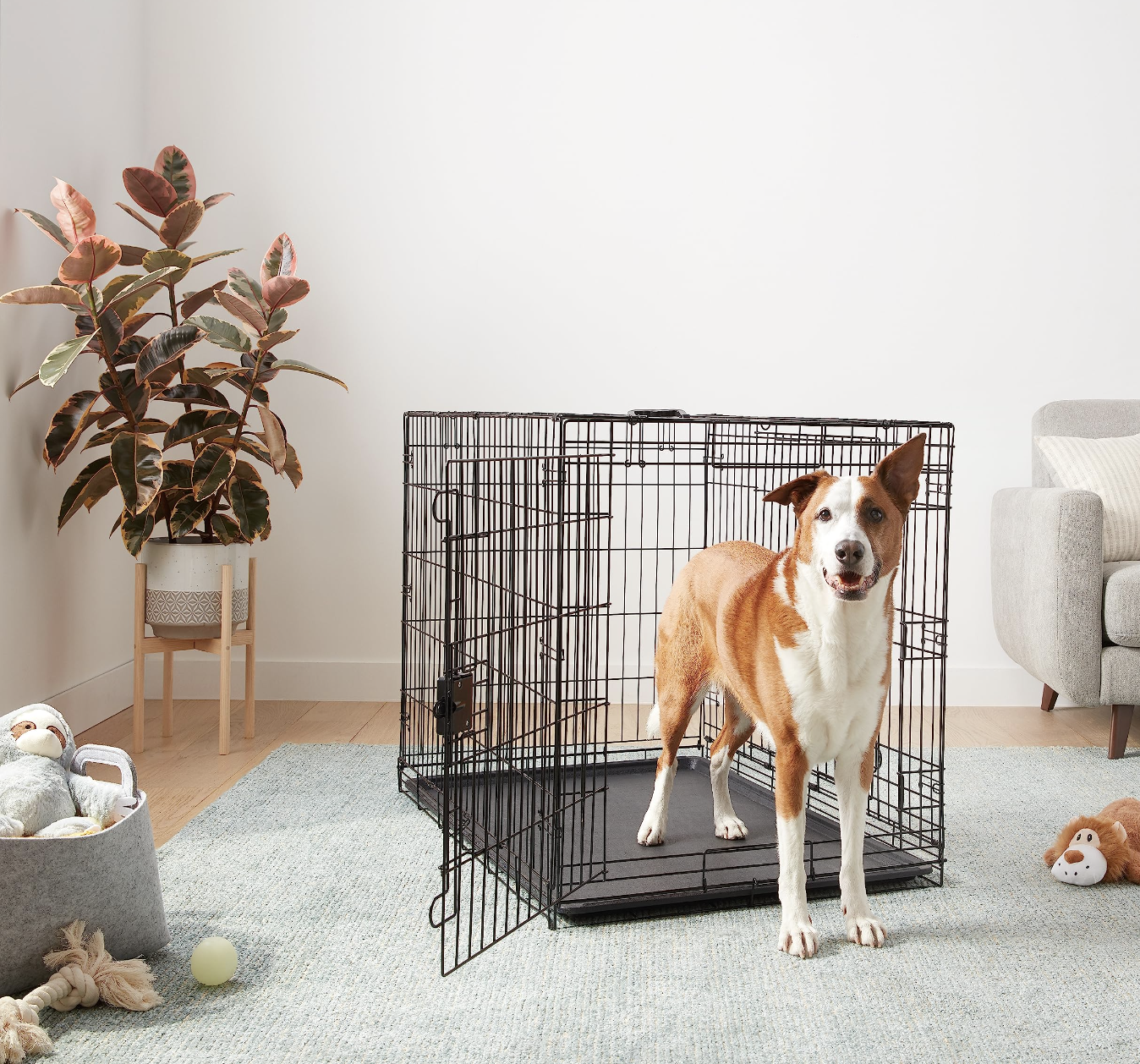 Chenpet Manufacturer Hot Selling Metal Pet Enclosure