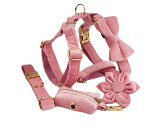 Chenpet New Design Pink Velvet Pet Accessories Dog Collars Leashes