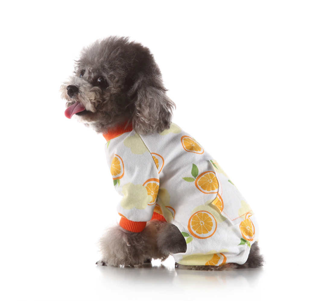 Chenpet Wholesale Pet Cotton Dog Household Clothes