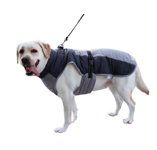 Chenpet Wholesale Durable Pet Winter Apparels Dog Clothes