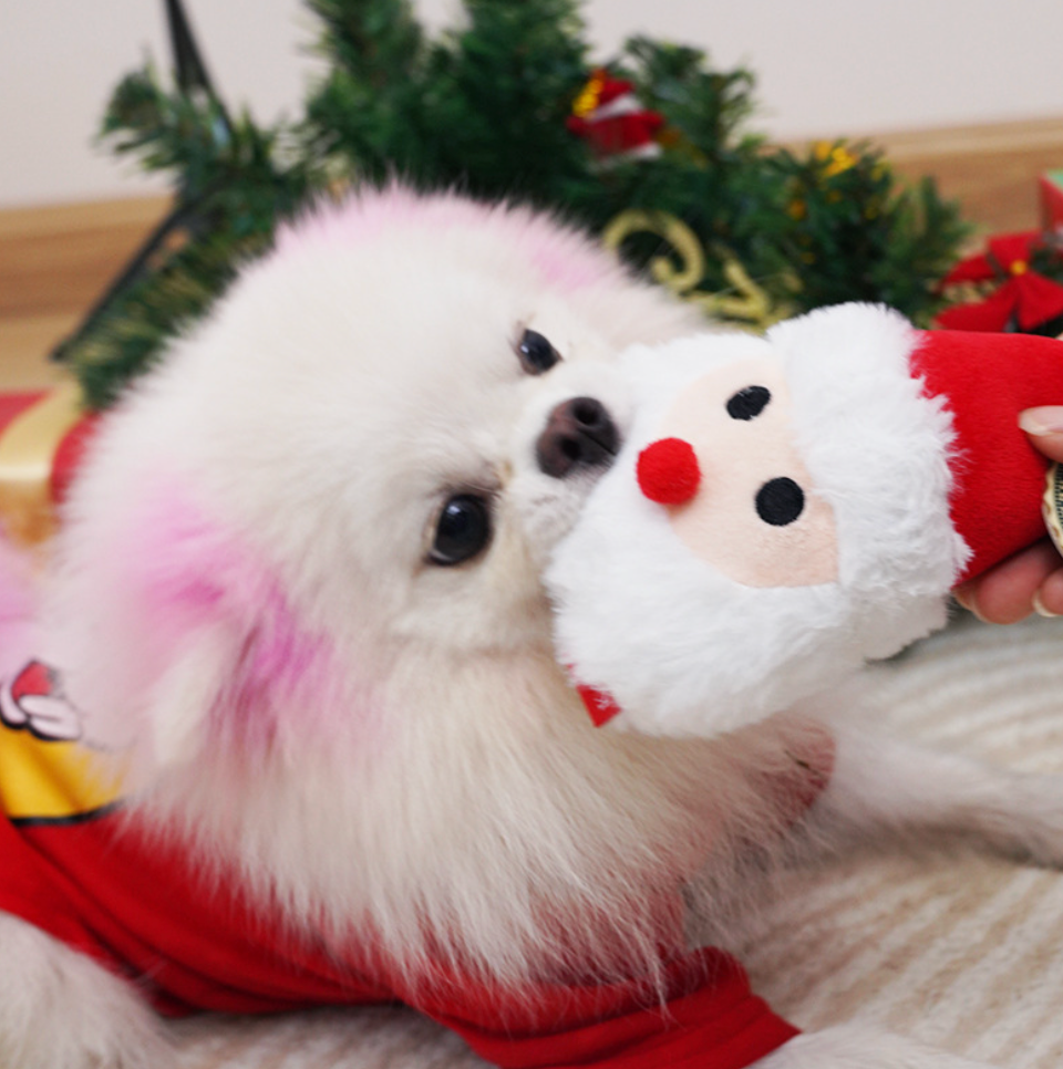 Chenpet Hot Selling Pet Christmas Toys Dog Play Toys