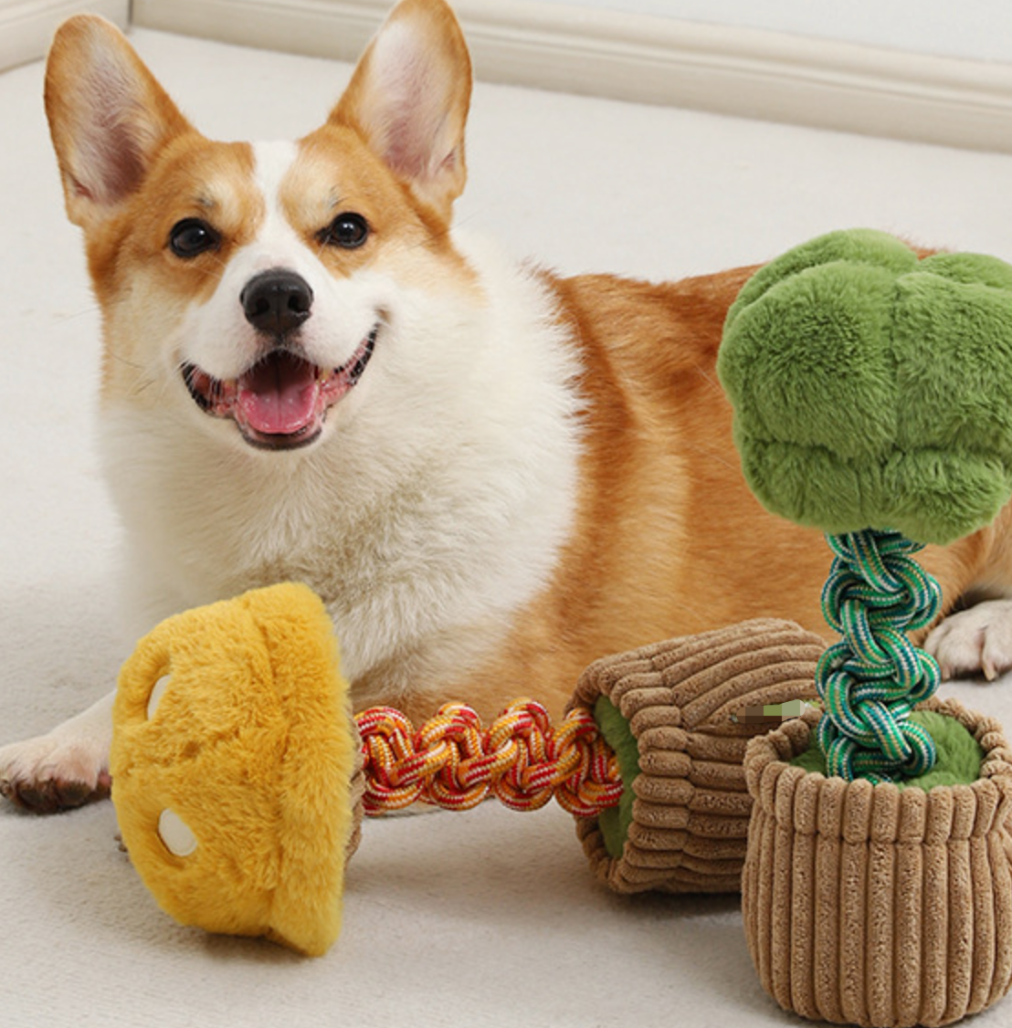 Chenpet New Design Of Pet Plush Toys Dog Toys Pet Play Toys