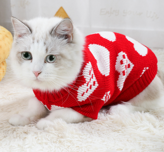 Chenpet Manufacturer Knit Pet Clothes Cat Apparels Winter Dog Clothes