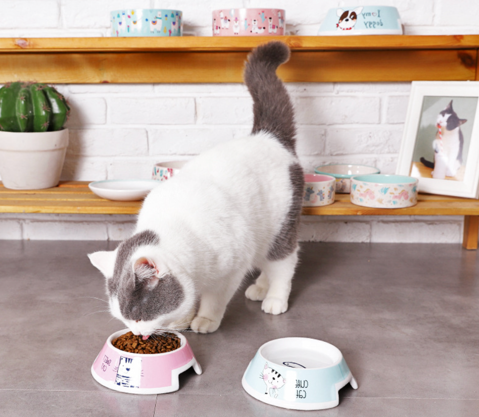 Chenpet High Quality Ceramics Pet Bowels Cat Food Water Bowels