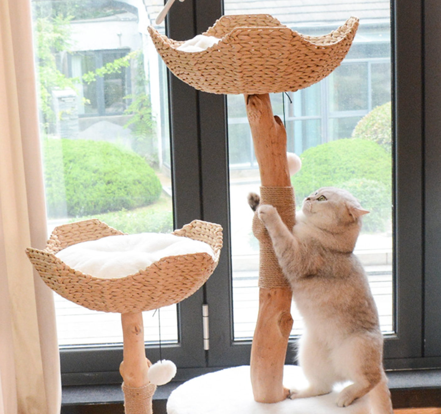 Chenpet Luxury Large Cat Trees Custom Solid Wood High Quality Cat Climbing