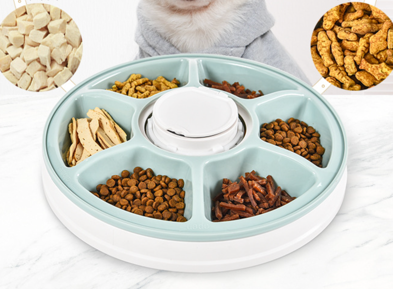 Chenpet High Quality Six-hole Pet Intelligent Timed Dosing Cat Automatic Feeder