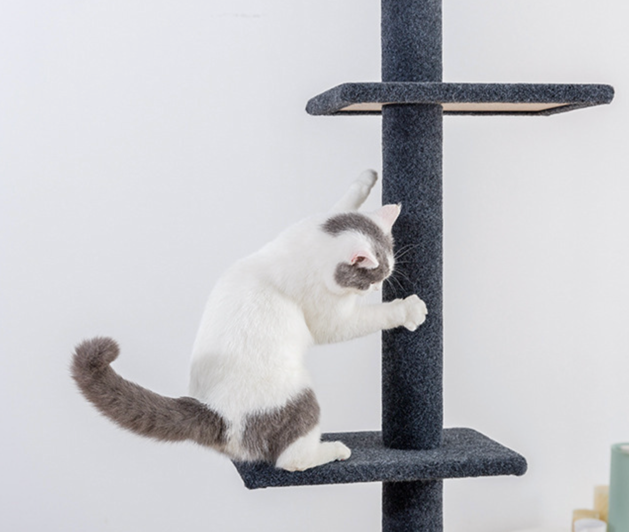 Chenpet Top Cat Climbing Frame Thickened And Stable  Large Cat Jumping Platform Cat Tree