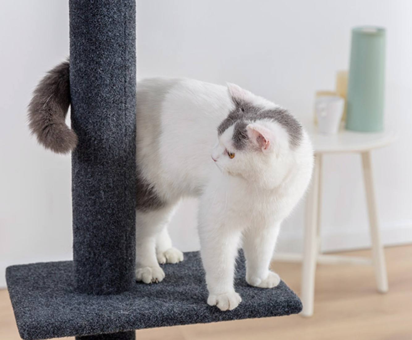 Chenpet Top Cat Climbing Frame Thickened And Stable  Large Cat Jumping Platform Cat Tree