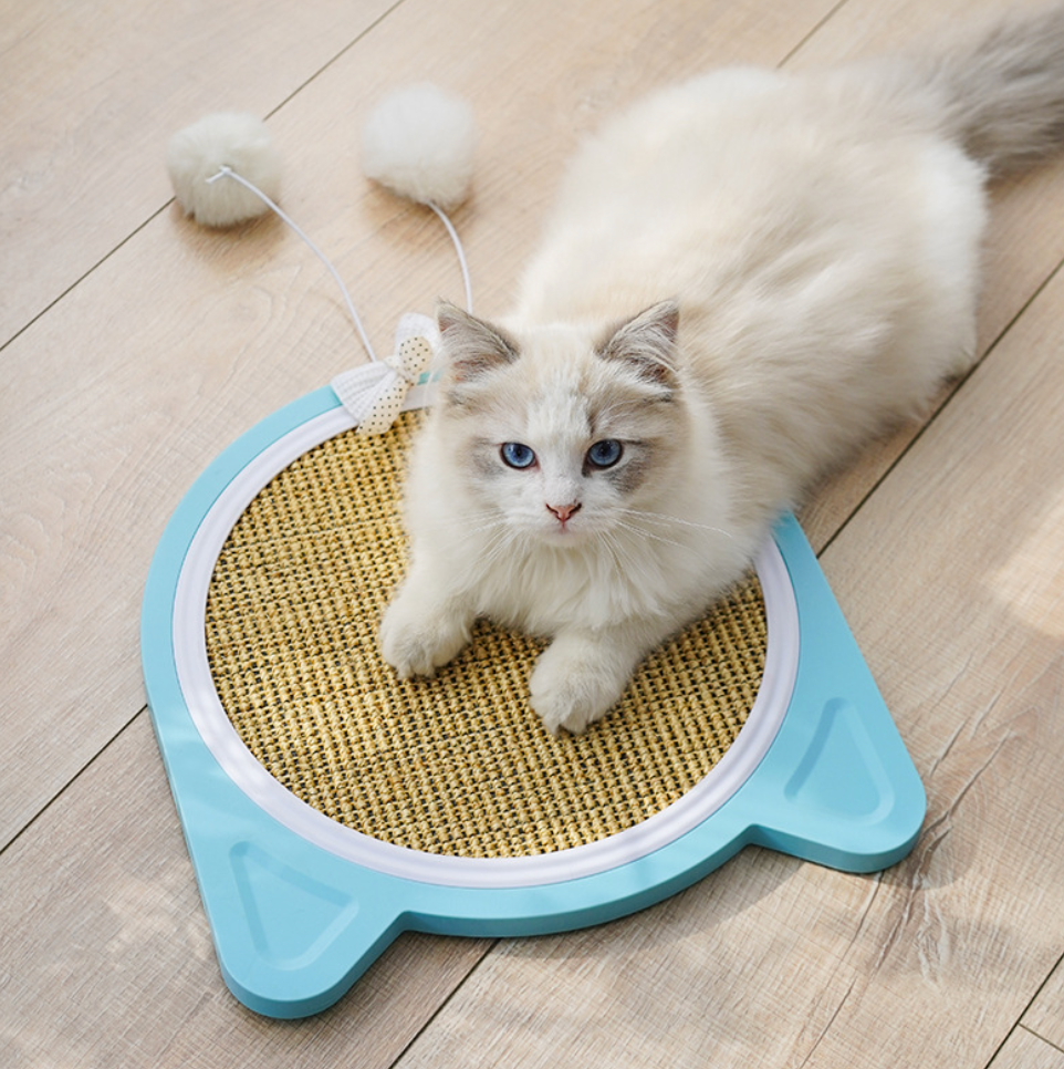 Chenpet New Arrival Plastic Cat Scratching Play Bords