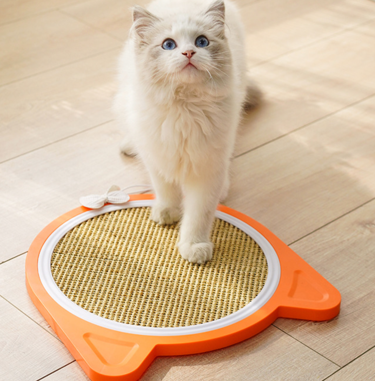 Chenpet New Arrival Plastic Cat Scratching Play Bords