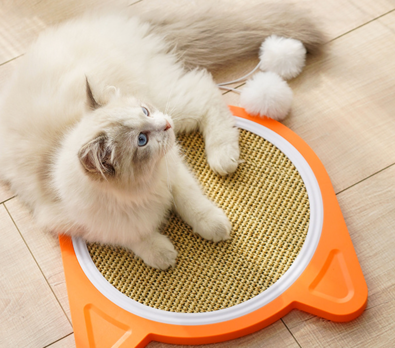 Chenpet New Arrival Plastic Cat Scratching Play Bords