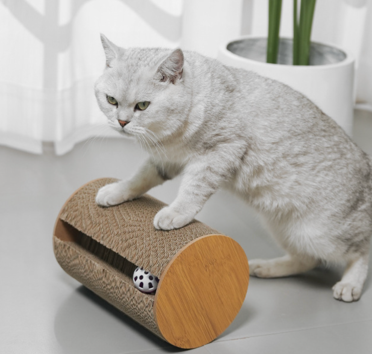 Chenpet New Design Of Cat Scratching Board Cat Play Scratcher