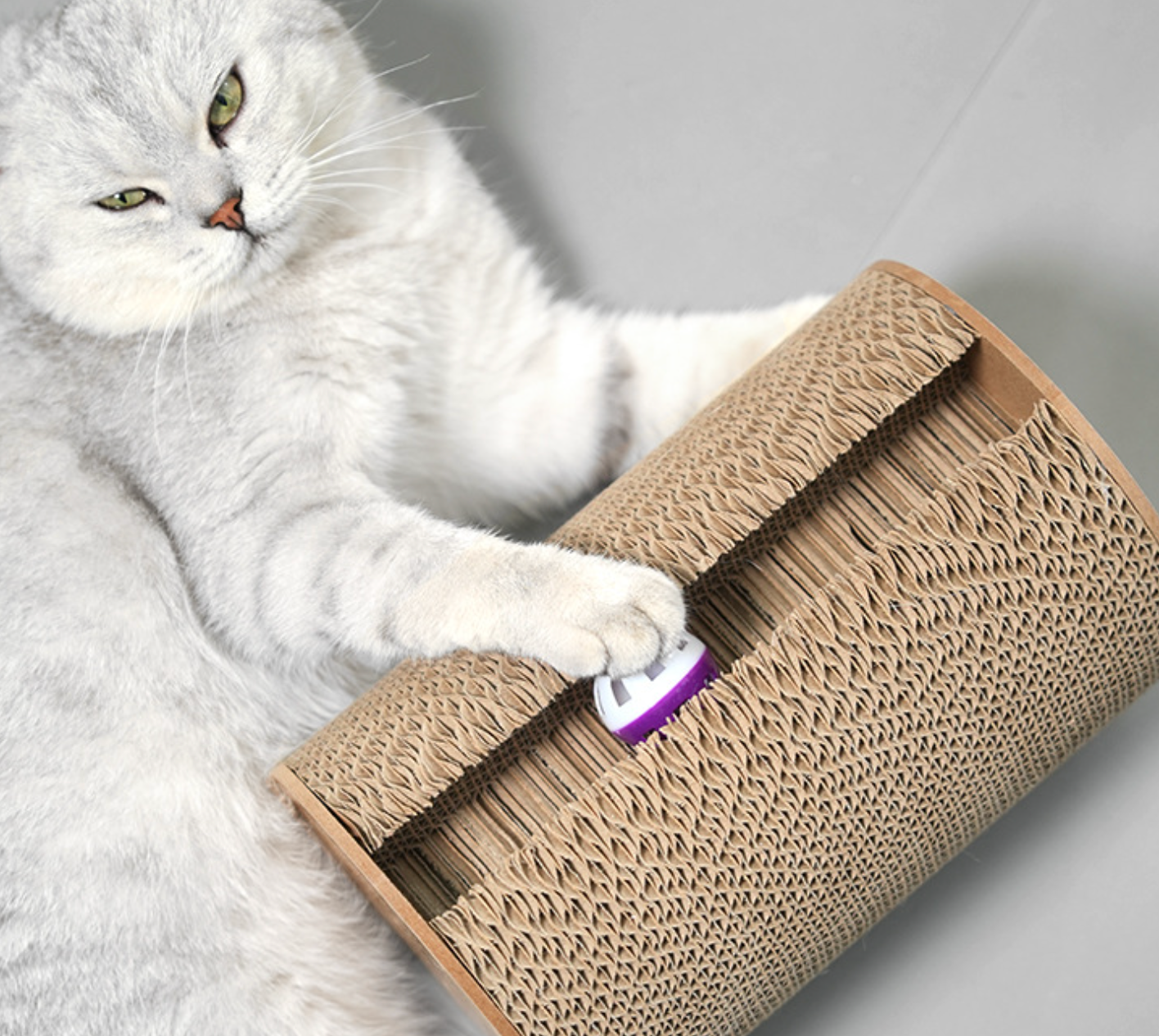 Chenpet New Design Of Cat Scratching Board Cat Play Scratcher