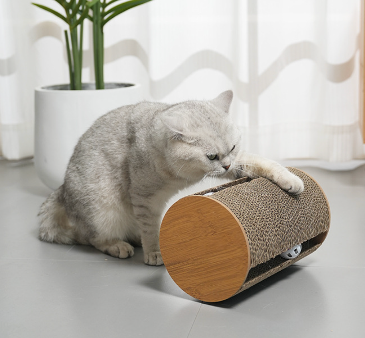 Chenpet New Design Of Cat Scratching Board Cat Play Scratcher