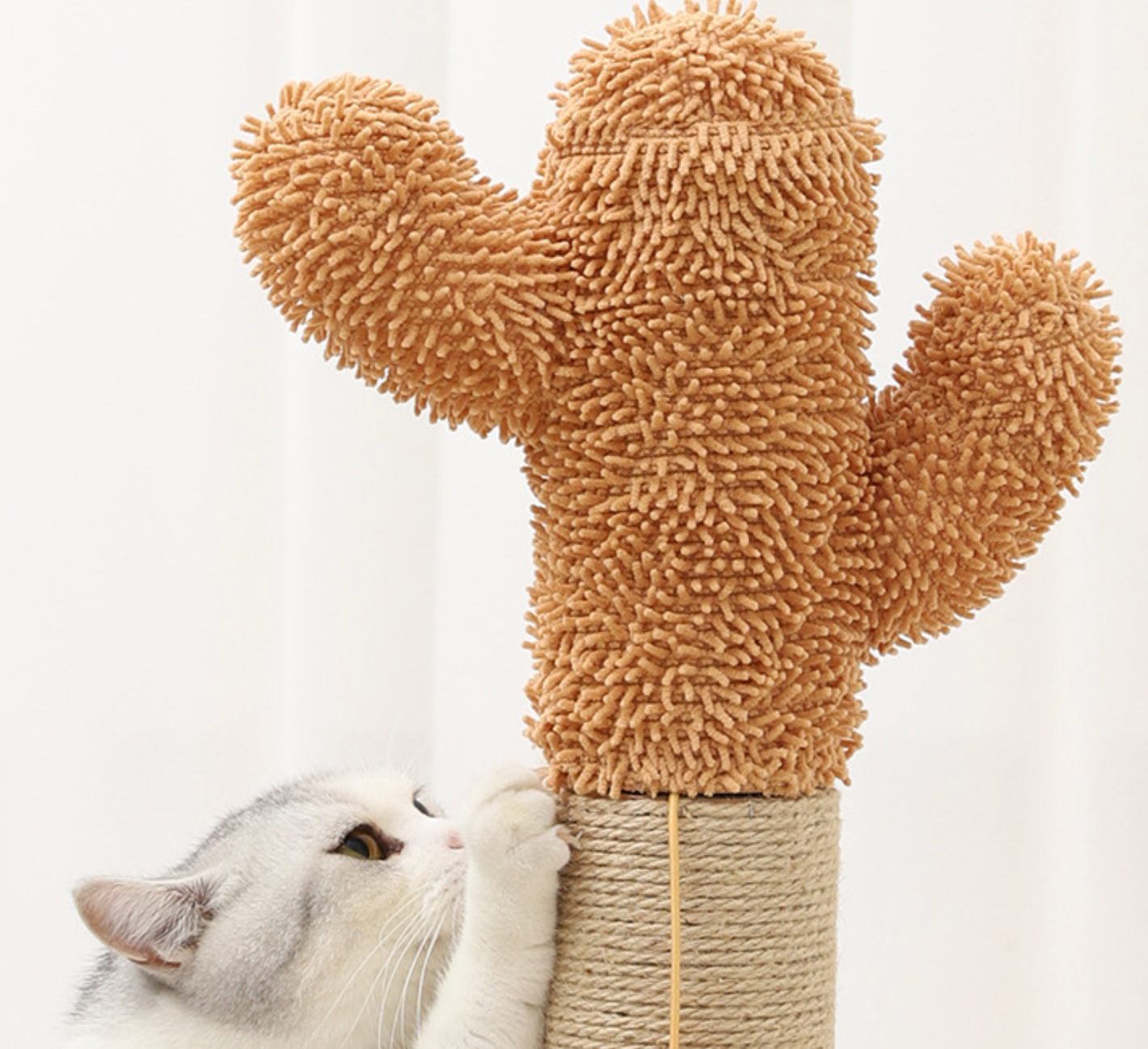 Chenpet Wholesale Cactus Cat Climbing Trees Cat Play