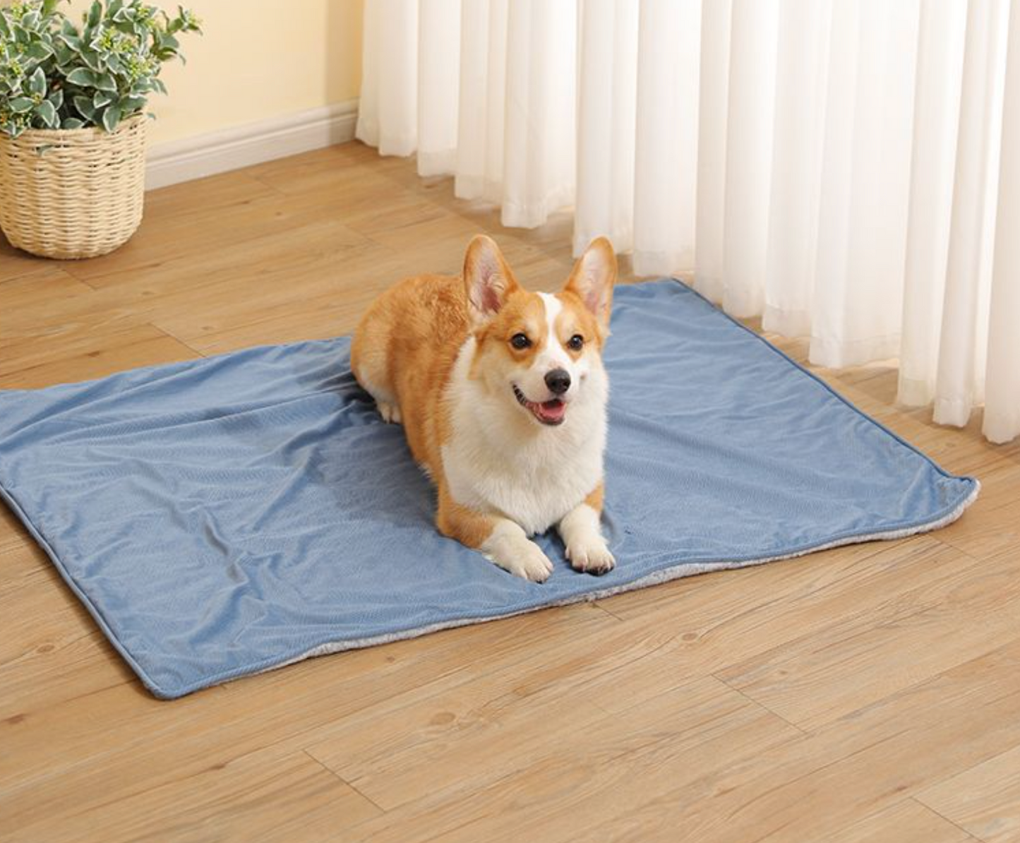 Chenpet New Arrival Rabbit Wool Pet Blankets Dog Mats