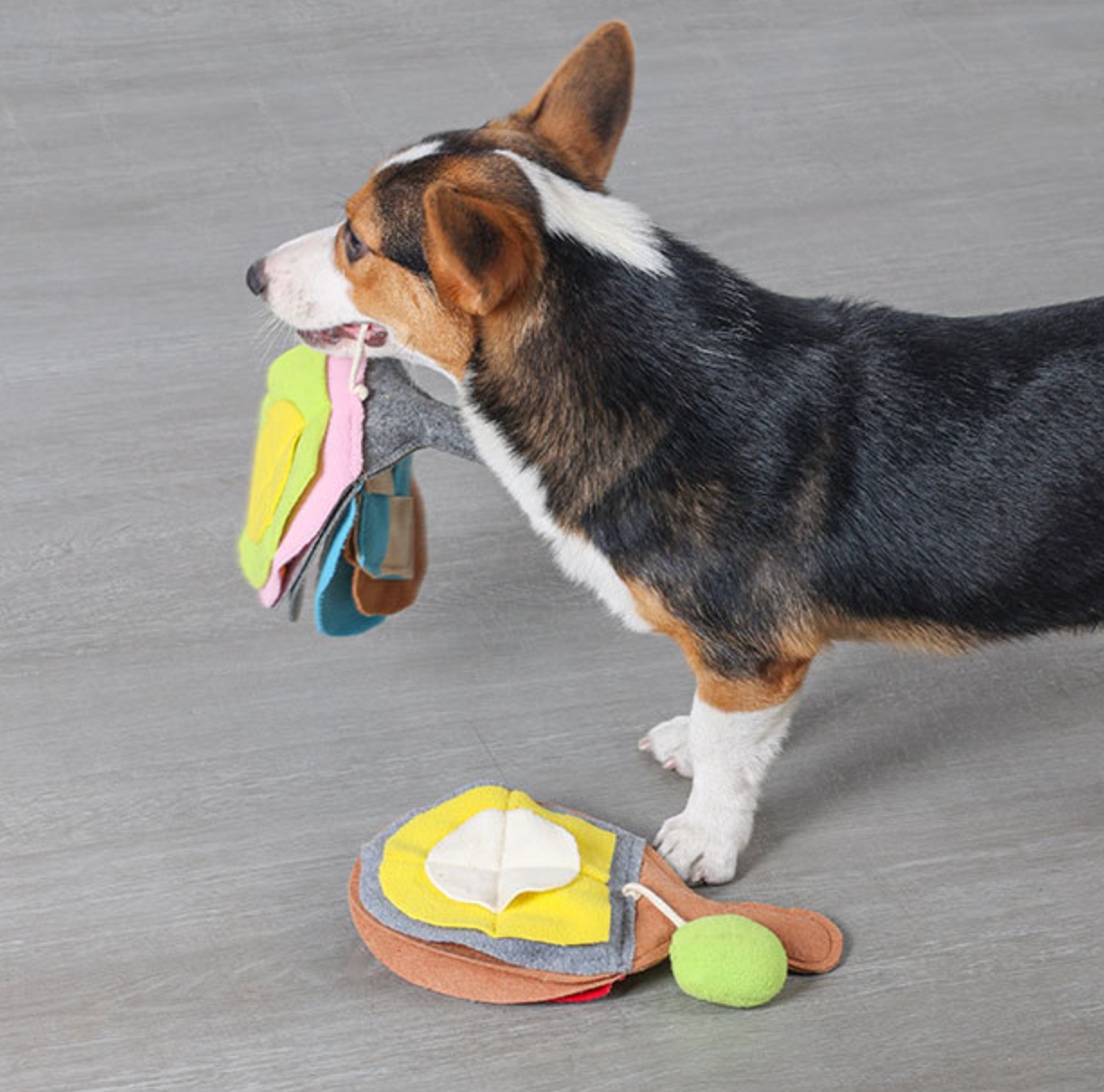 Chenpet Eco-Friendly  New Design Ping-Pong Snuffle Pet Toys