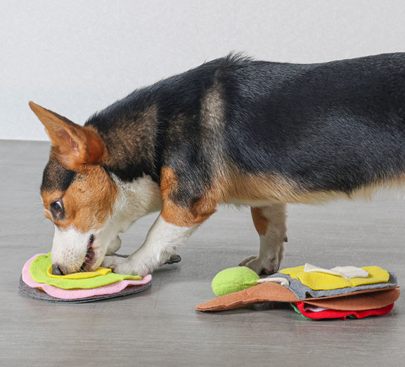 Chenpet Eco-Friendly  New Design Ping-Pong Snuffle Pet Toys