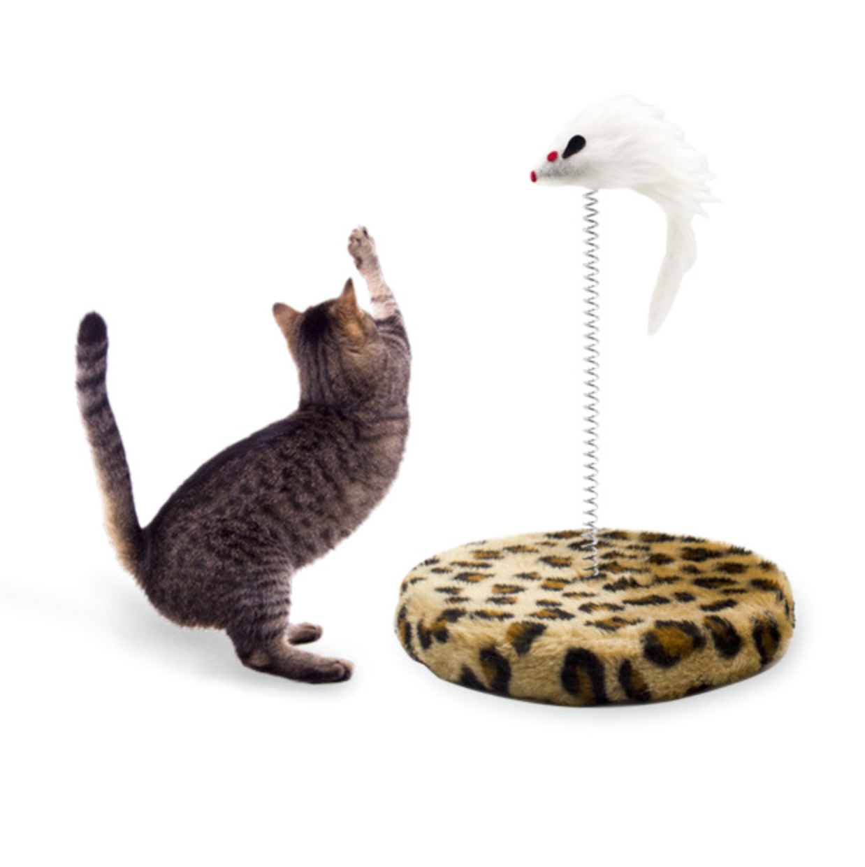 Chenpet Small Cat Climbing Trees For Cat Plays Toys