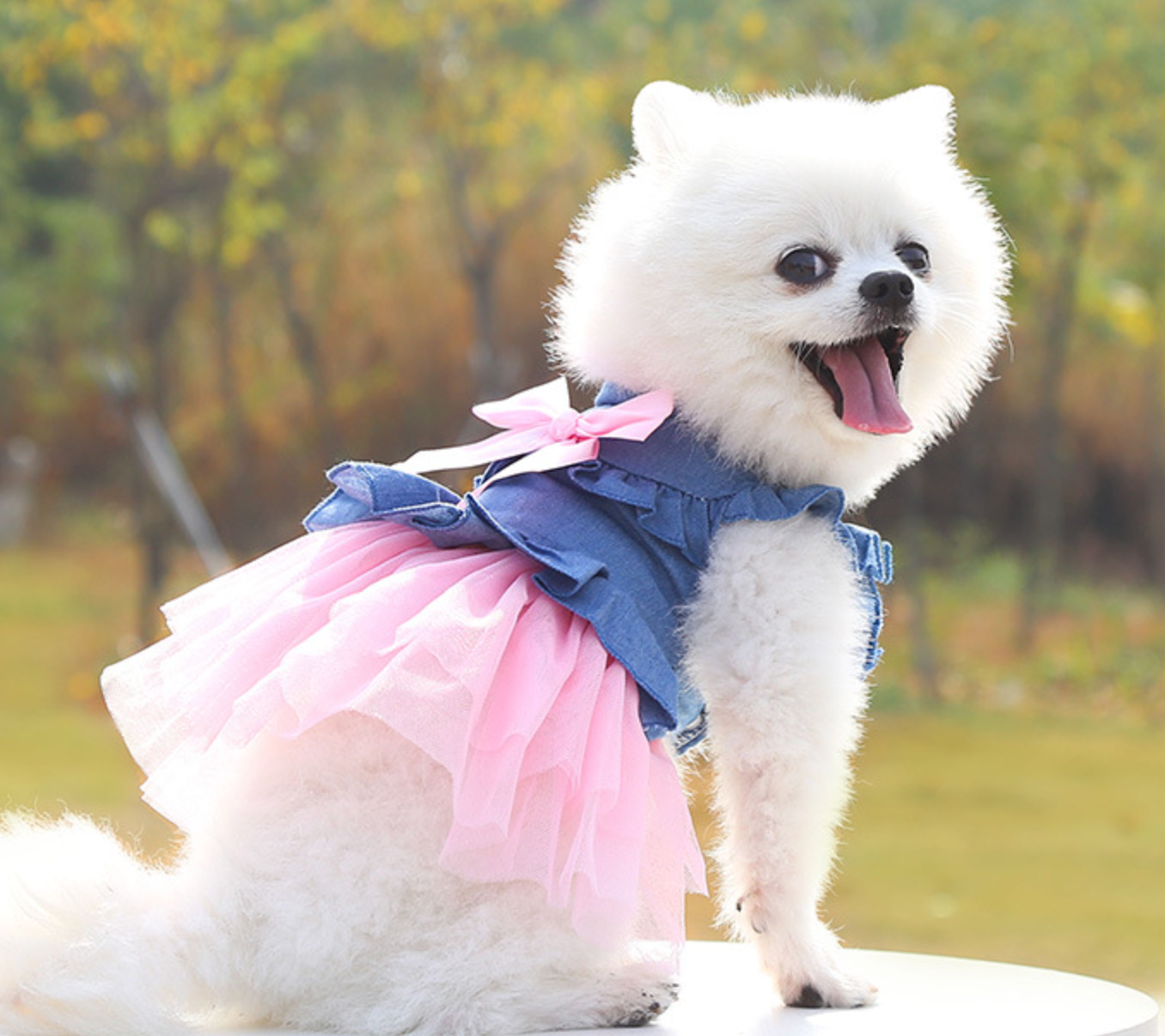 Chenpet Spring/Summer Denim Skirt Pet Clothes Dog Dresses Cat Dresses