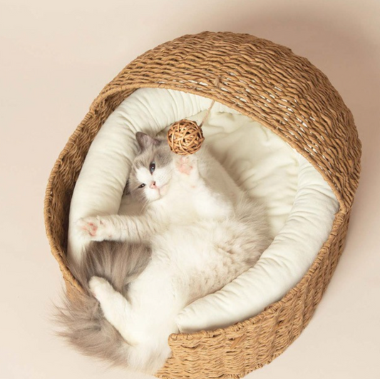 Chenpet Eco-friendly PE Rattan Cat Caves Breathable Cat Beds