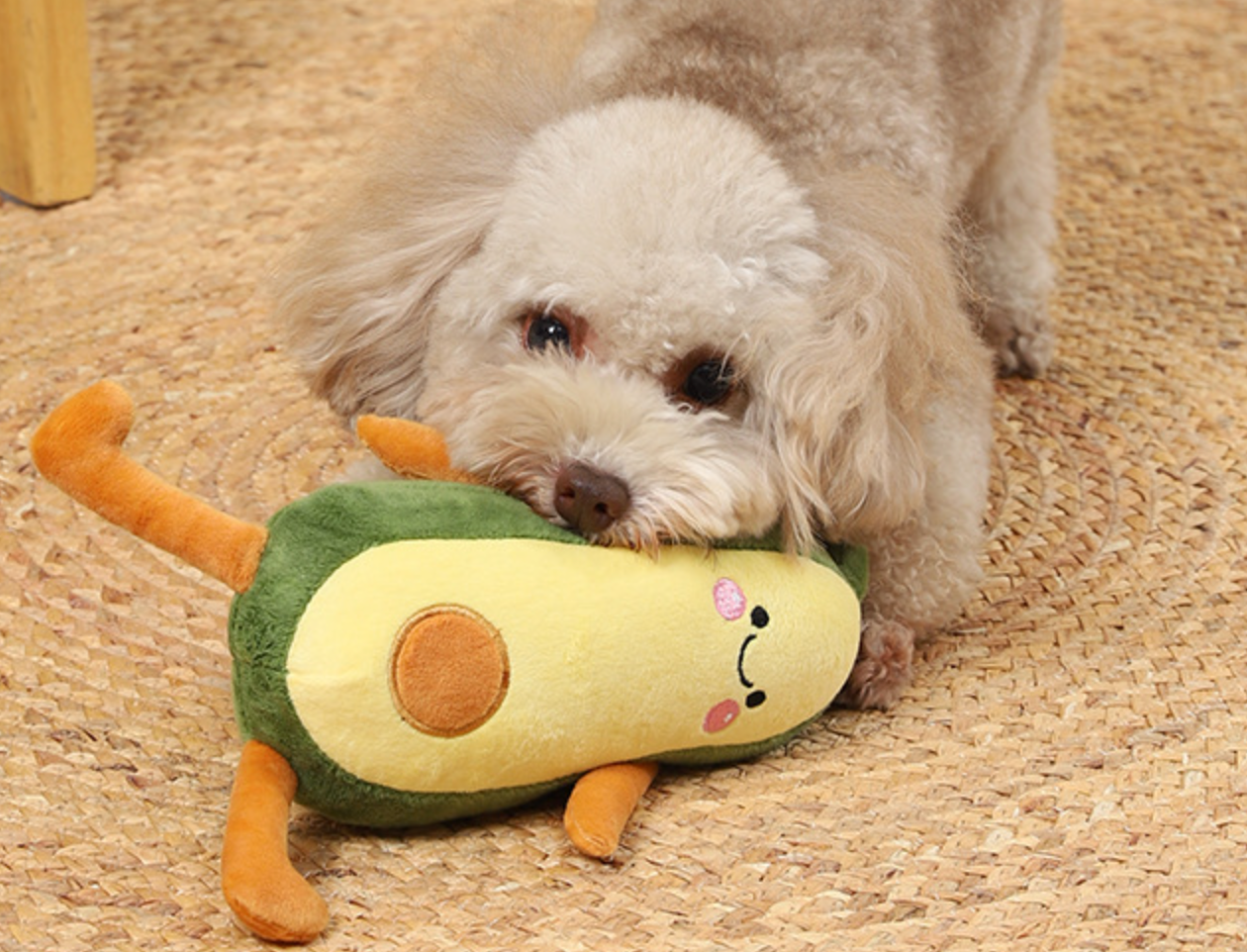 Chenpet Hot Selling Avocado Plush Dog Chews Toys