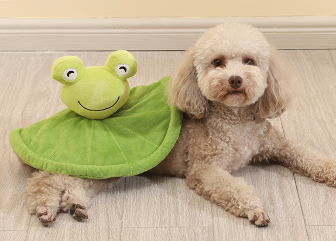 Chenpet Eco-friendly Lotus Flower Pet Plush Dog Toys