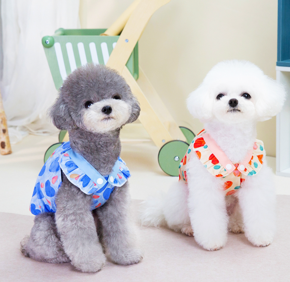 Chenpet New Design Spring & Summer Pet Clothes Dog Apparels